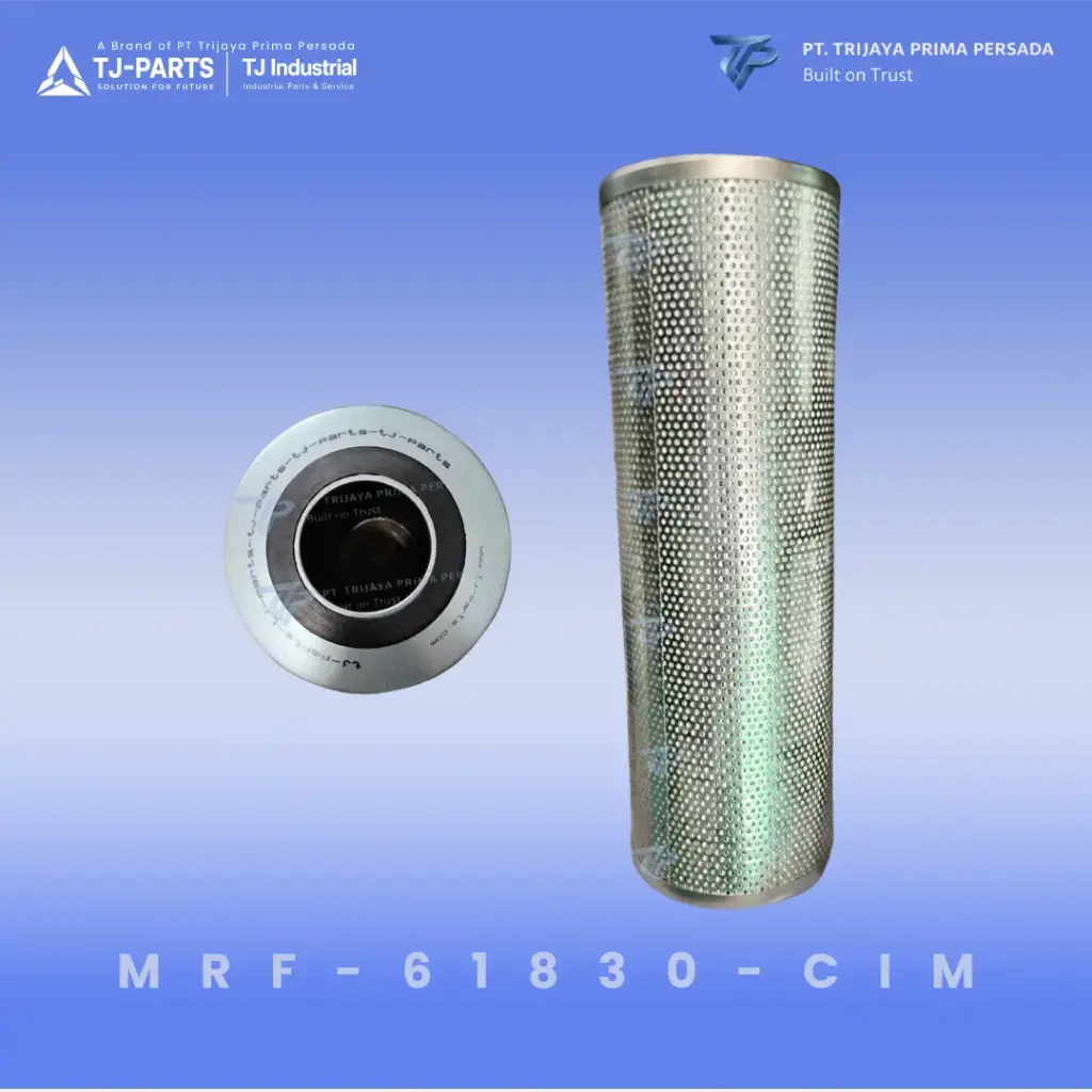 FILTER ELEMENT 30 MICRON
